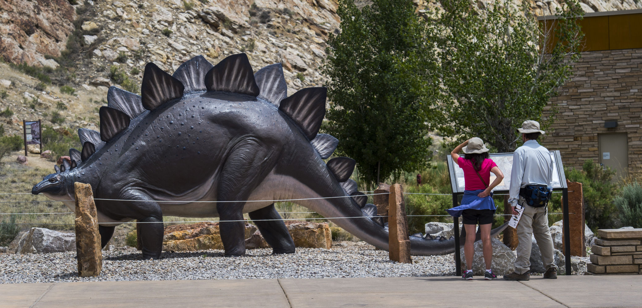 State fossil: stegosaurus